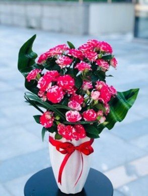 Floral Forest